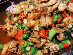 紫苏味平锅牛蛙-蛙来哒(东城万达店)