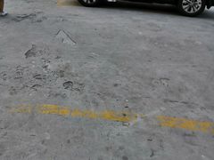 -卜蜂莲花(辽阳西路店)