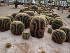 iphone_upload_pic-世界地热博览园