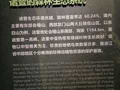 -诸暨博物馆