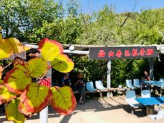 -北京西山国家森林公园