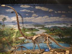-自贡恐龙博物馆
