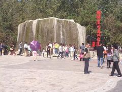 -合肥滨湖国家森林公园