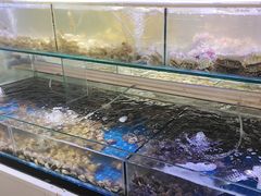 -四海蒸鲜蒸汽海鲜自助(北戴河店)