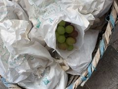 -美家乐农庄·露营·团建(大治路店)