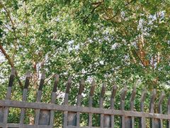 -永定河休闲森林公园