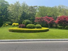 -棒棰岛宾馆景区