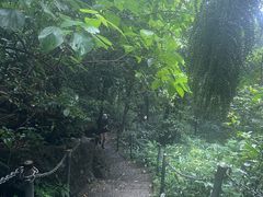 -七仙岭温泉国家森林公园