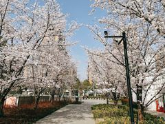 -新天地活力PARK