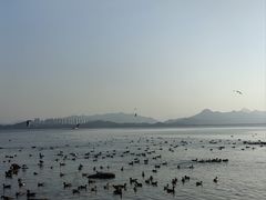 -深圳湾公园(南山区)