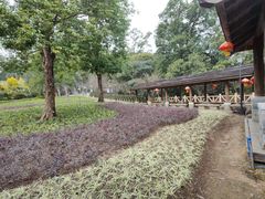 -广州市流溪河国家森林公园
