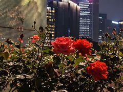-西湖文化广场