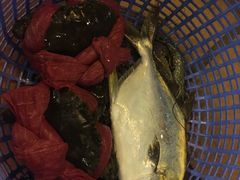 -越海渔村