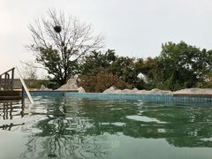 -仁爱团泊湖温泉中心