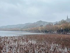 -世纪联华超市(凤起店)