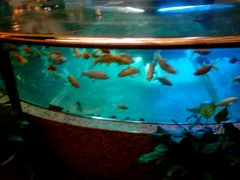 android_upload_pic-中影国际影城(兰生大厦CINITY LED店)
