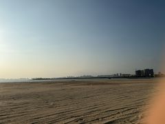 -东郊椰林