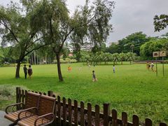 -东风公园