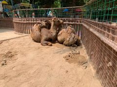 -银川动物园