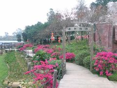 -松山湖梦幻百花洲