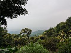 -广州市白云山风景名胜区