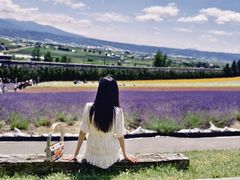 -富田农场