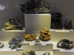 -河南自然博物馆