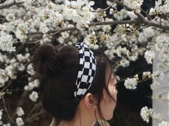 -武汉大学-樱园