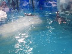 iphone_upload_pic-台州海洋世界