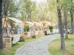 -茅山东方盐湖城景区