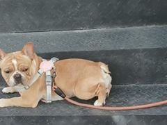 -85度C(上海兰溪二店)