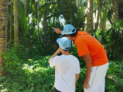 -三亚湾海居铂尔曼度假酒店