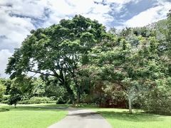 -中国科学院西双版纳热带植物园