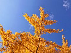 -辽东学院(南校区)