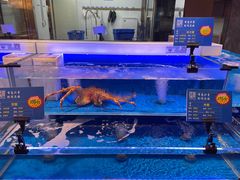 水产区-同庆楼(天鹅酒家店)