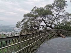 -福道