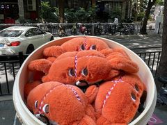 -黄记大闸蟹专卖店·活蟹·醉蟹