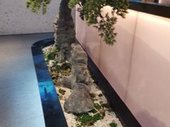 -马家斑.鲜鱼火锅(松湖万科店)