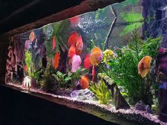 -上海海洋水族馆