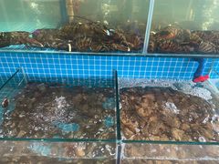 -蓝珊甄选海鲜自助·火锅大排档(近阿那亚店)