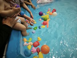 -海豹航航水育游泳中心(芳园里店)