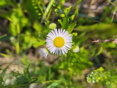-崂山九水游览区
