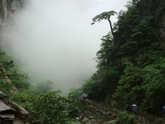 大明山-大明山自然探索公园