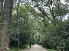 -灵谷景区