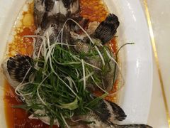 -稻香酒家·35年老字号(侨光店)