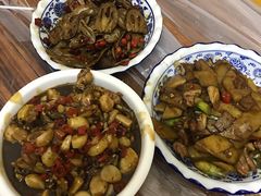 青蛙-铁头烧菜馆(立新路店)