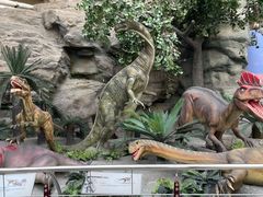 -国家自然博物馆