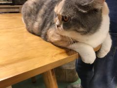 -藦茜花园宠物主题亲子互动体验馆(国顺东路店)