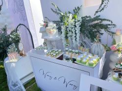 -保定金沙芝柏婚礼策划