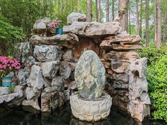 -上海醉白池公园
